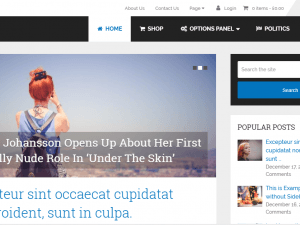 Süper Hızlı Wordpress Teması