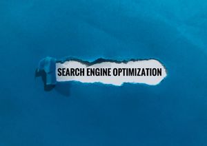 100 SEO Jargonu