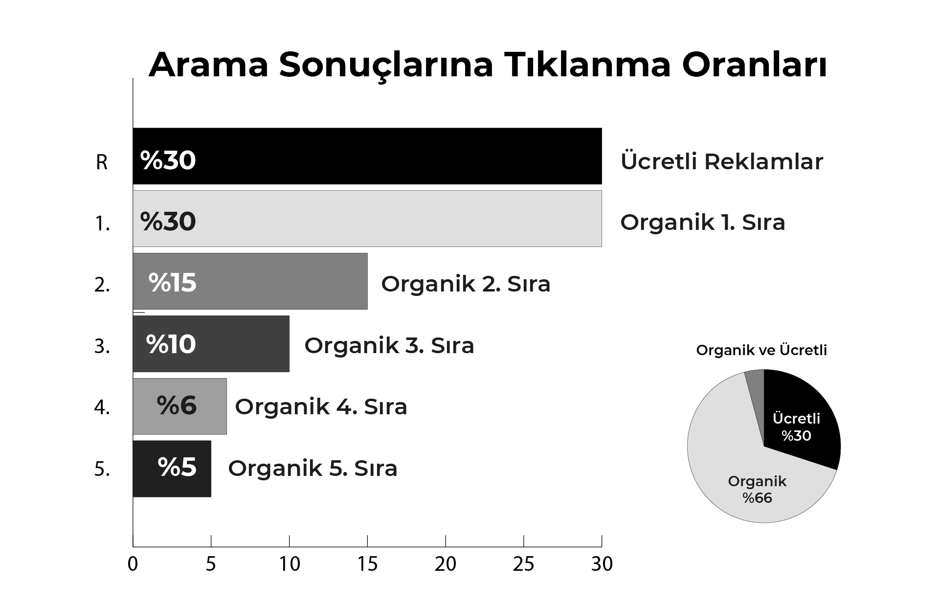 Organik Arama Nedir?