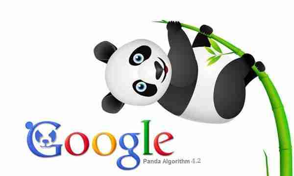 seo uzmanı 42 seo uzmanı 41
