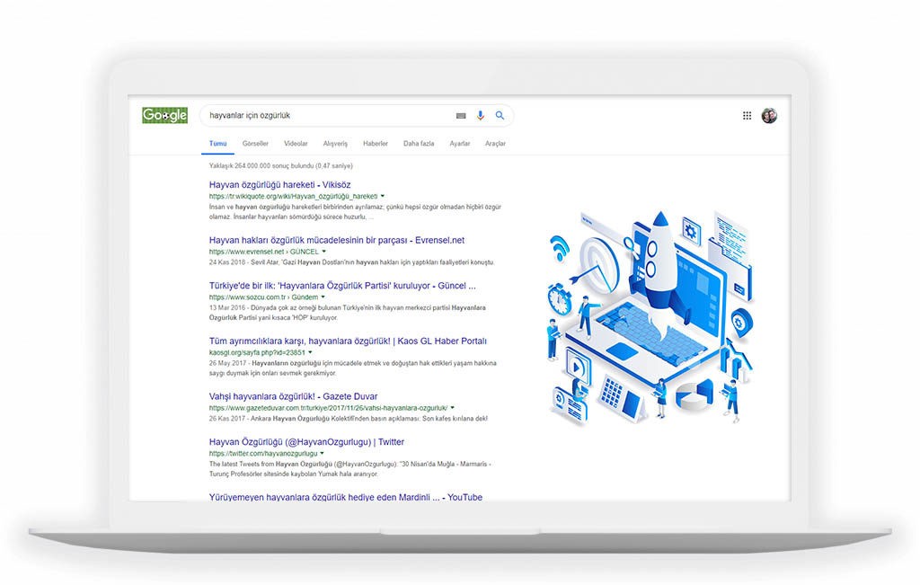 bursa seo